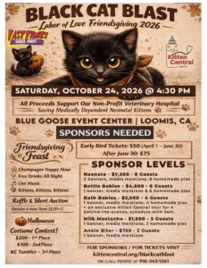 Fast Times at Kitten Central's Black Cast Blast Fundraiser 10/24/2026 Kitten Central’s Black Cat Blast Gala Fundraiser – Blue Goose Event Center, 3550 Taylor Rd. Loomis, CA. 95650 5:00pm – 10:00pm