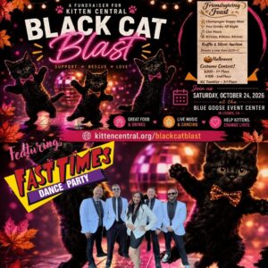 Fast Times at Kitten Central's Black Cat Blast Fundraiser 10/24/2026