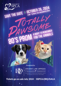 Fast Times at the Totally Pawsome 80s Prom 10/26/2024